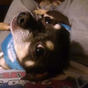 Meet your Posher, Sheri